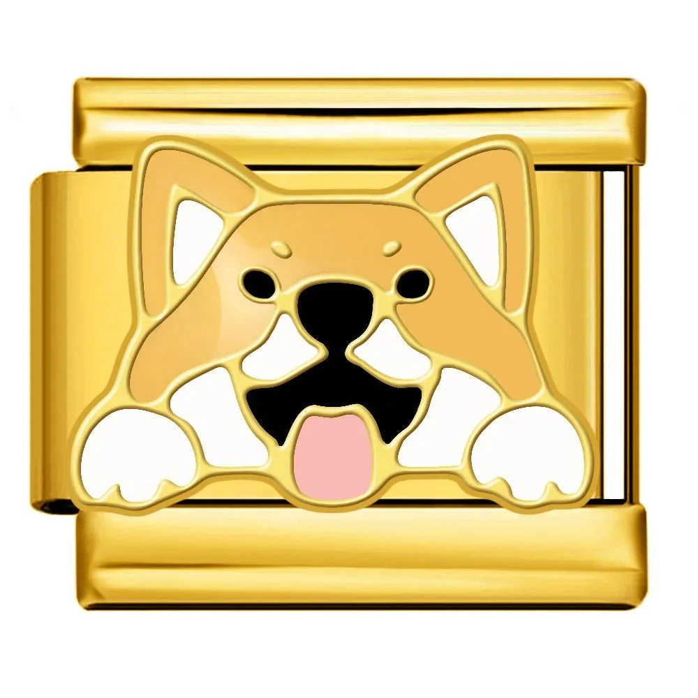 Corgi - Image 2