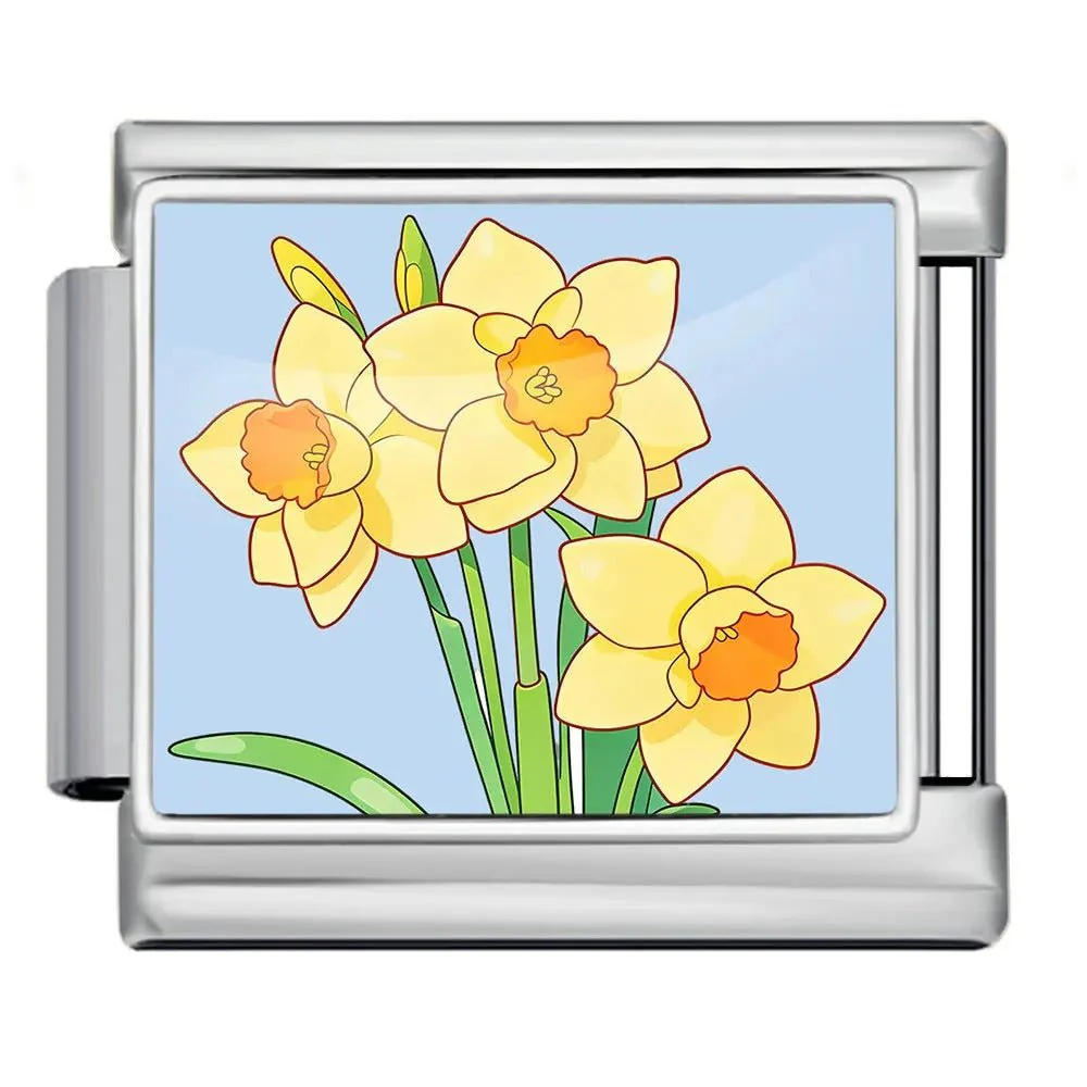 Daffodils