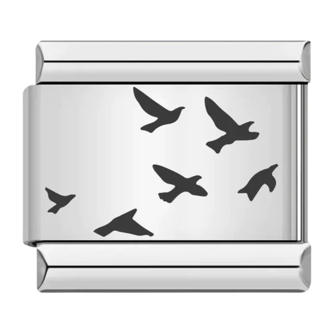 Birds