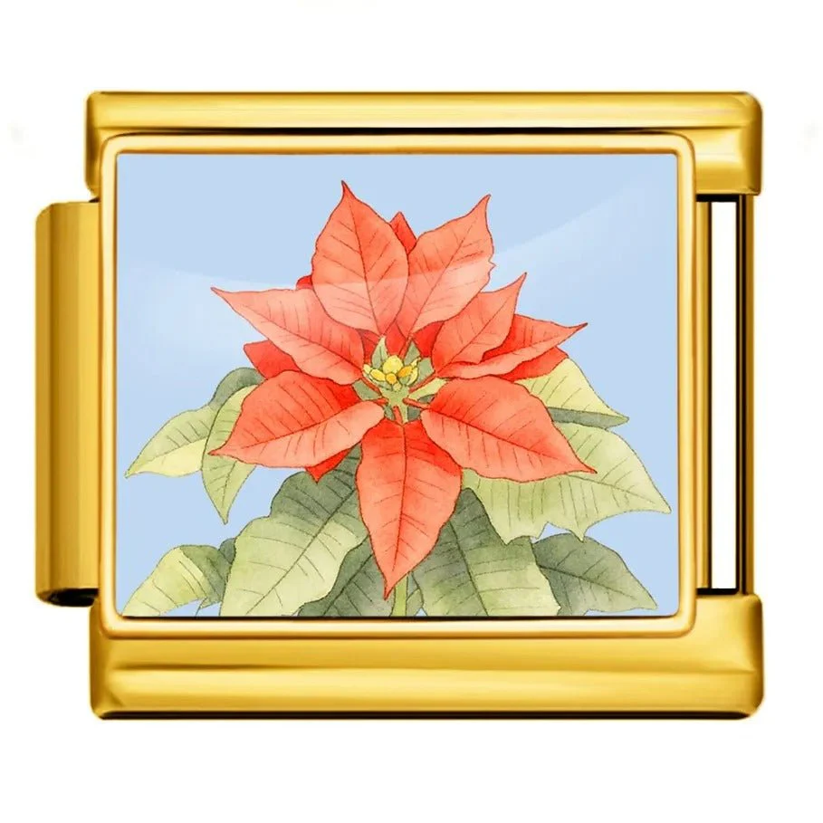 Poinsettia - Image 2