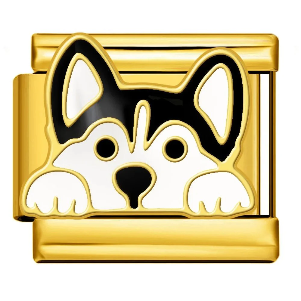 Schnauzer - Image 2